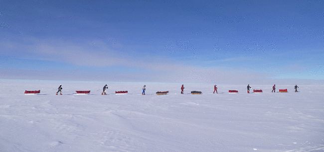 Polar Picnics